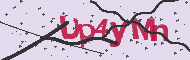Captcha認証コード